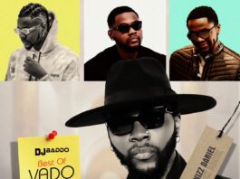 DJ Baddo Best of Vado (Kizz Daniel) Mix