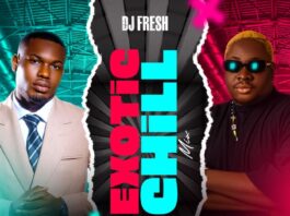 DJ Fresh & Hype MC Biggie Exotic Chill Summer Mixtape